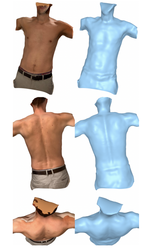 3D model torso