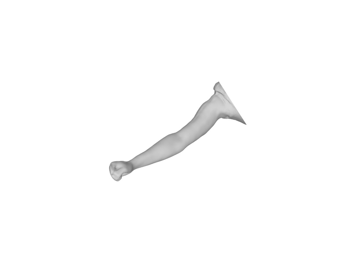 Modèle 3D Bras
