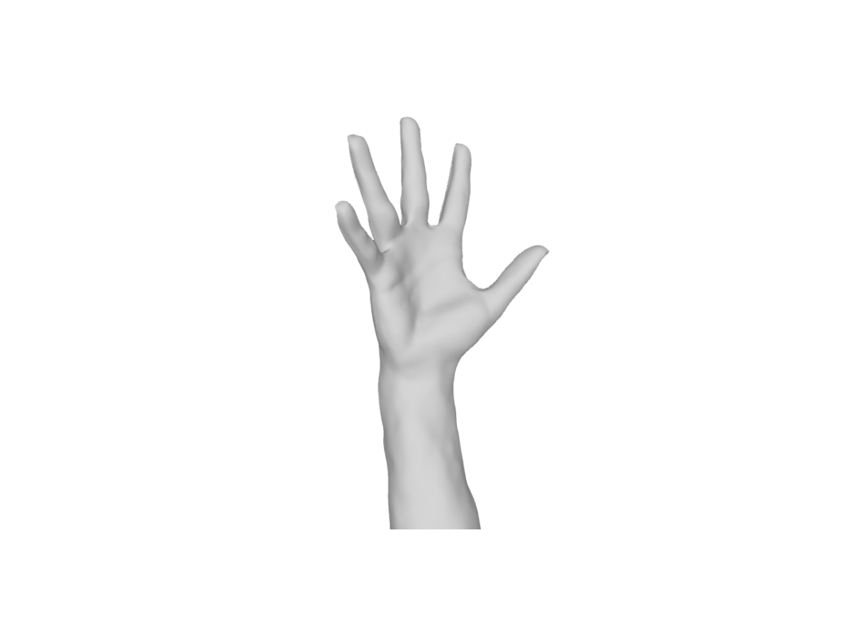 Modèle 3D Main
