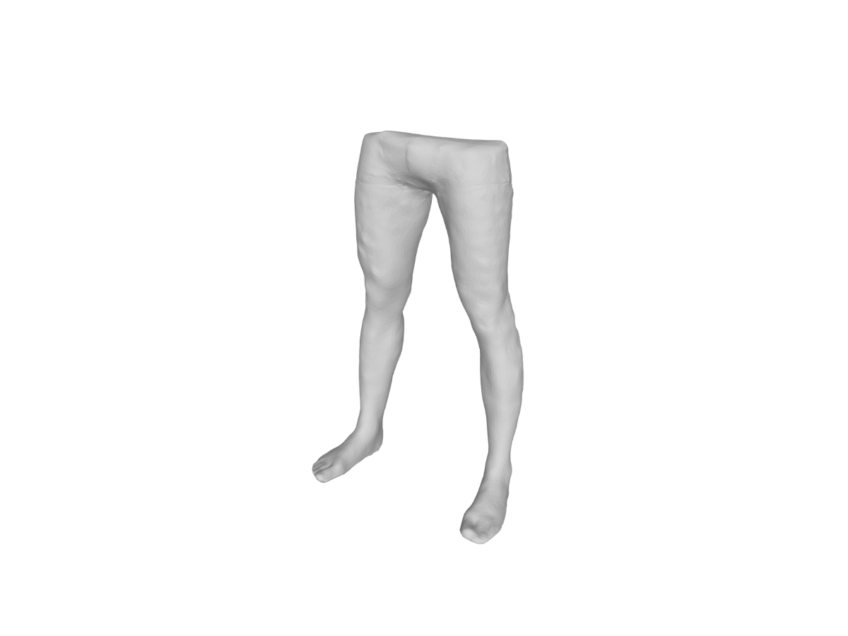 Modèle 3D Jambe