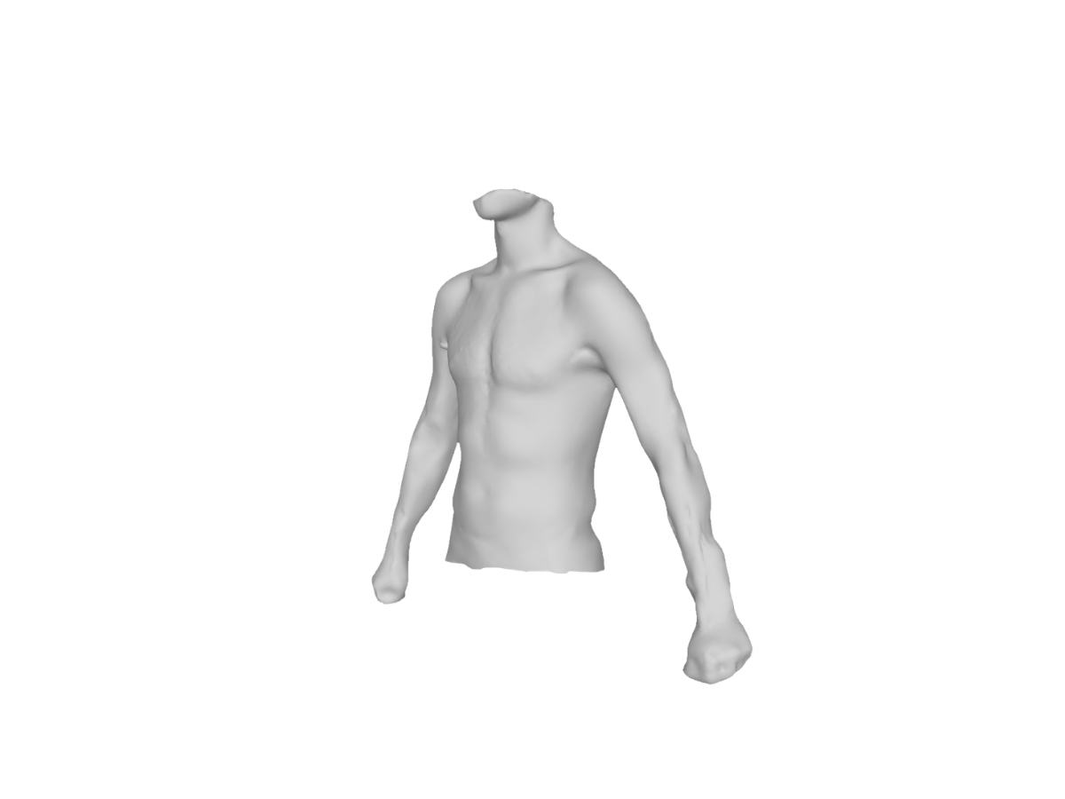 Modèle 3D Torse