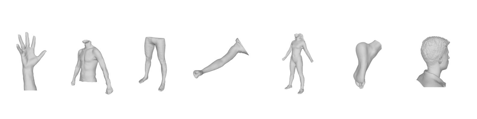Modèles de scans 3D humains